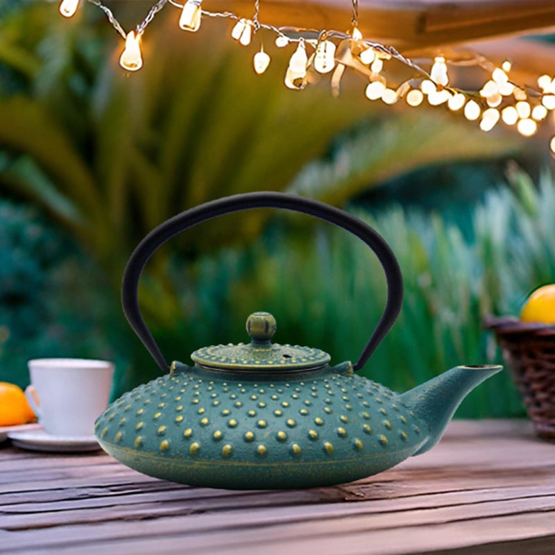SECHUDO 27.1oz Small Cast Iron Teapot,SECHUDO Tea Kettle Coated with Enameled Interior for Stovetop Safe, Japanese Style Cast Iron Teapot with Stainless Steel Infuser for Loose Tea,Flat Pattern(800ml) - Image 2