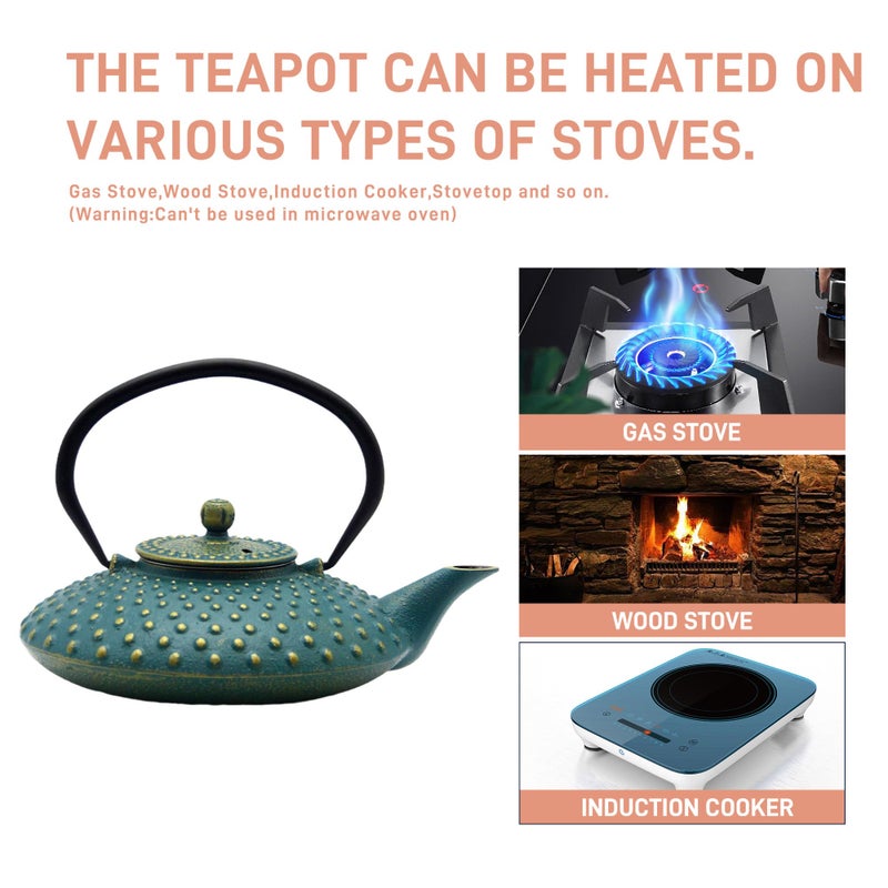SECHUDO 27.1oz Small Cast Iron Teapot,SECHUDO Tea Kettle Coated with Enameled Interior for Stovetop Safe, Japanese Style Cast Iron Teapot with Stainless Steel Infuser for Loose Tea,Flat Pattern(800ml) - Image 5