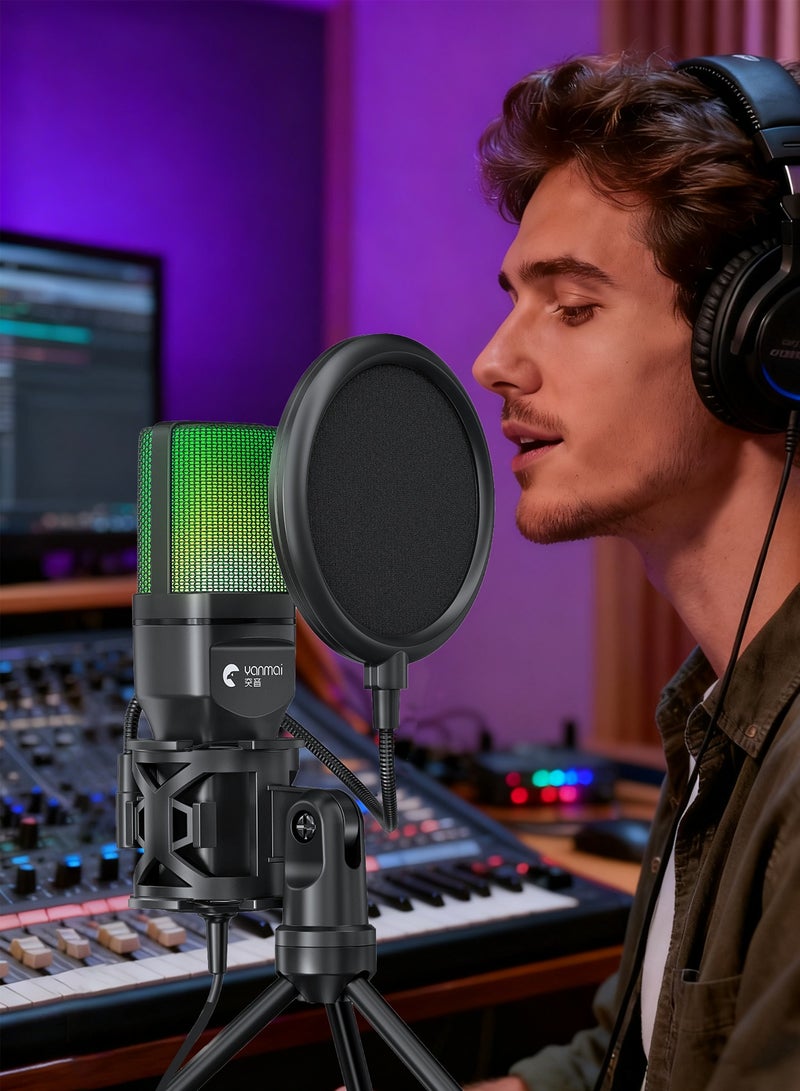 يانماي مايك ميكروفون ألعاب USB ميكروفون كمبيوتر مكثف عالي الحساسية للتوصيل والتشغيل مناسب للألعاب/البث المباشر/البودكاست/PS4/5/الكمبيوتر الشخصي/iPad مع كتم الصوت - Image 2