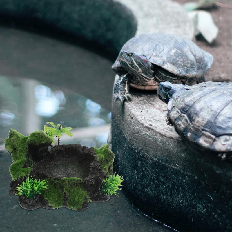 Decorative Reptile Bowl Resin Feeding Dish Water Dish for Terrarium Turtles Lizards Safe Use Pet Accessory - Image 5
