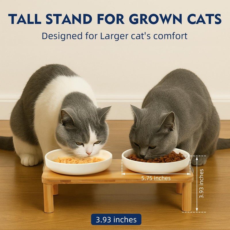DoogCat Elevated Cat Bowls for Indoor Cats â€“ Raised Bamboo Cat Food Table with 2 Ceramic Dishes, Adjustable Height (4.25"/3.07"), Whisker Friendly Feeding Station - Image 2