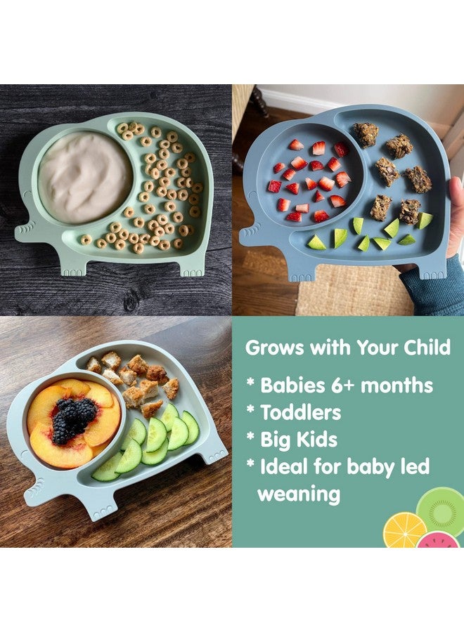 Sage Spoonfuls 7-Piece Feeding Set Suction Plate and Reusable Baby Food Pouches for Babies and Toddlers, 100% Silicone Divided Plate with Suction Base, 6-Pack BPA Free 7oz Reusable Food Pouches - Image 2