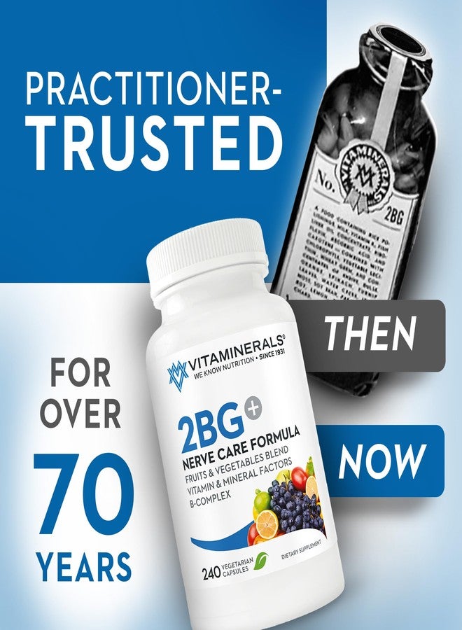 Vitaminerals 2BG+™ B Complex Immune Support High Potency B Complex | Fruits & Veggies Blend | 240 Veggie Caps - Image 3