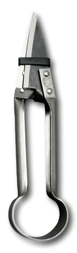 Due Buoi Single Bow Straight Sheep Shears DB 160/25-2" 1/3 The Shortest Blade Length - 10" Total Length - Image 2