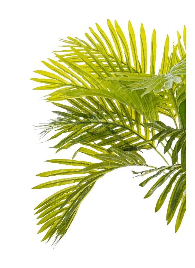 Unique Pots And Plants Areca Hawaiin Artificial Palm Tree H180CM  - Image 2