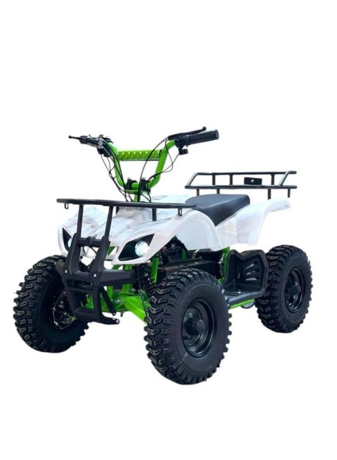 Electric quad bike, 4 wheels, 36V, dunes - Image 1