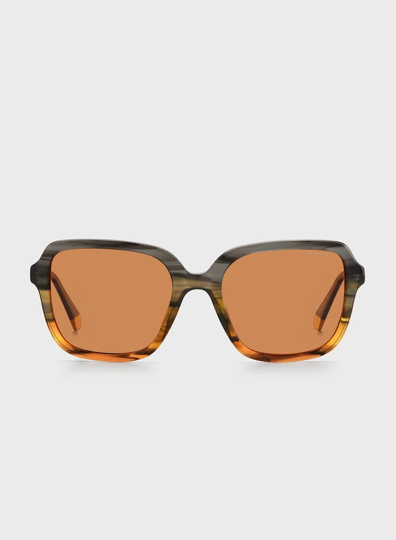 Polaroid Pld 4095/S/X Sunglasses