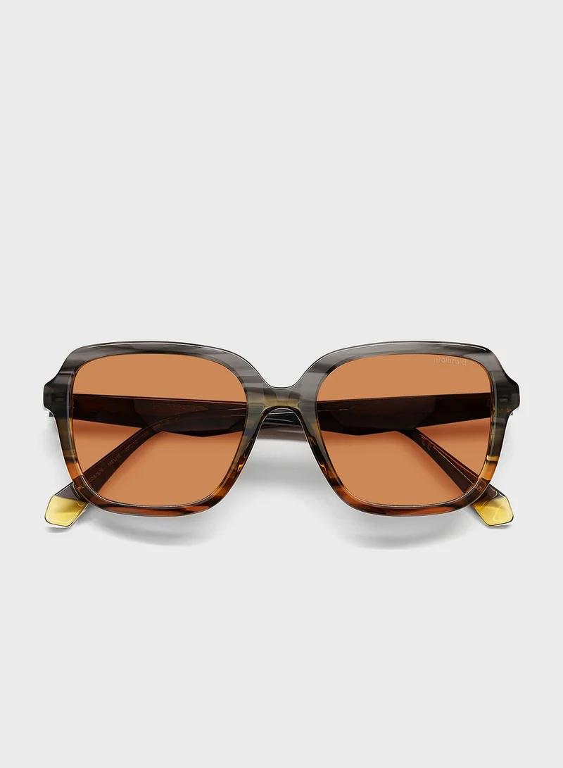 Polaroid Pld 4095/S/X Sunglasses