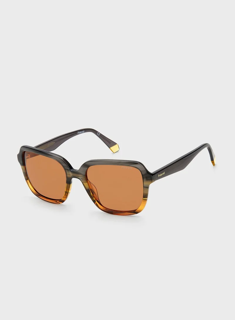 Polaroid Pld 4095/S/X Sunglasses