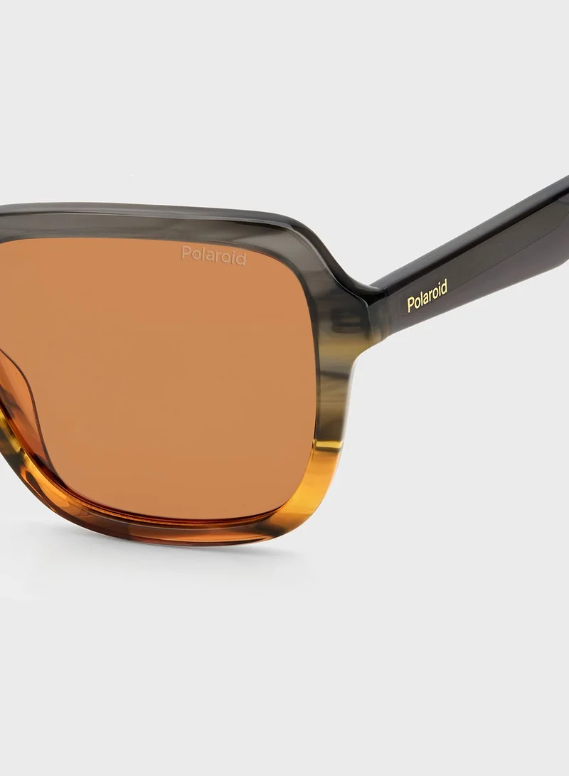 Polaroid Pld 4095/S/X Sunglasses