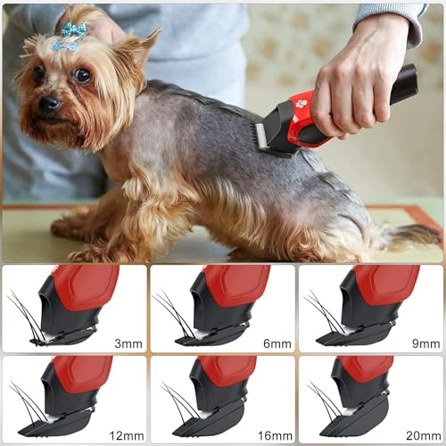 Solimpia Dog Cat Clippers - Electric Grooming Trimmer Kit Rechargeable Cordless Low Noise Professional Pet Hair Trimmer Set Unisex - Image 5