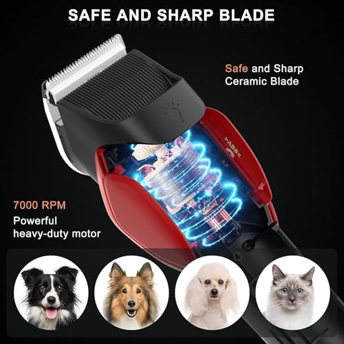 Solimpia Dog Cat Clippers - Electric Grooming Trimmer Kit Rechargeable Cordless Low Noise Professional Pet Hair Trimmer Set Unisex - Image 3