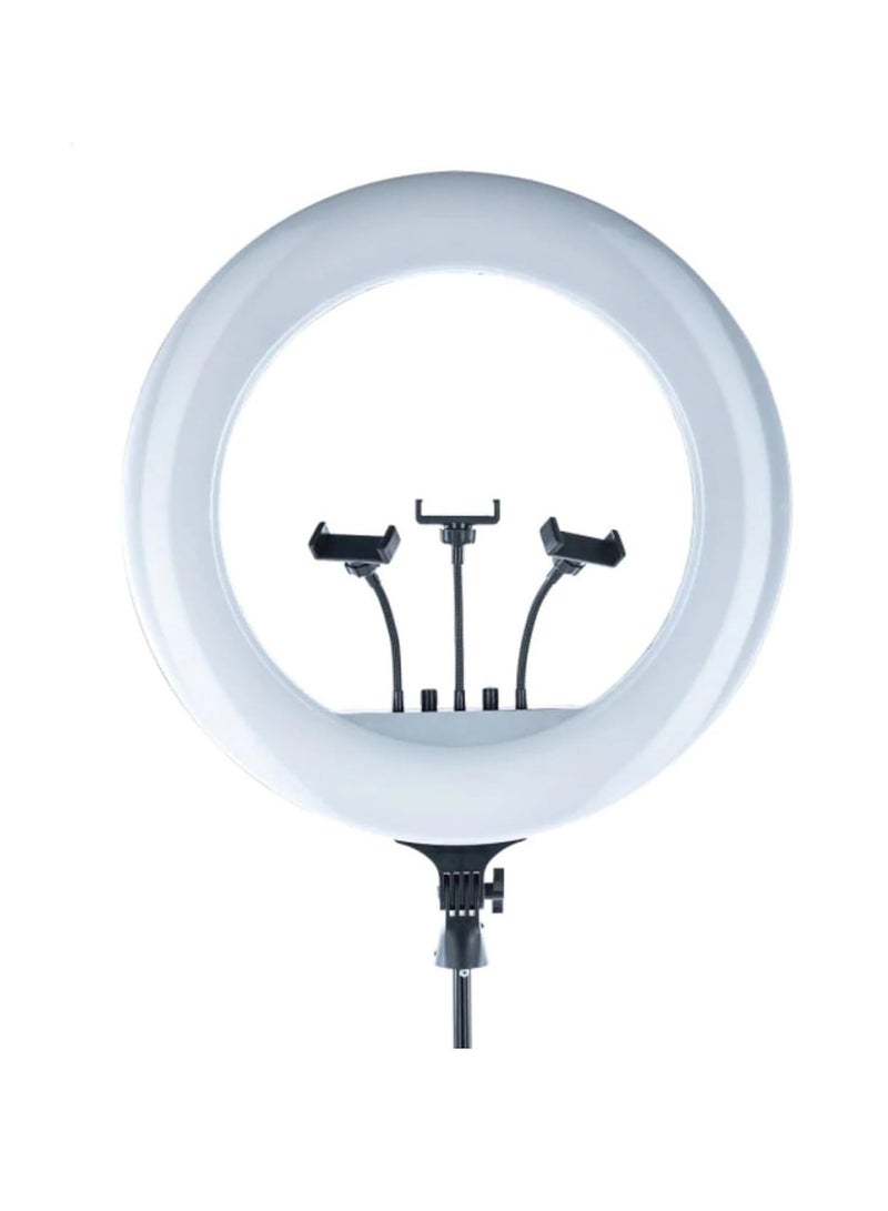 LED Ring Light RL-21 with Remote Control and Stand for Smartphone and Camera  - Image 1