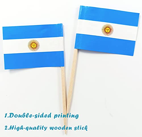 QQSD Argentina Toothpick Flag Argentine Small Mini Cupcake Topper Flags,100 pcs - Image 3