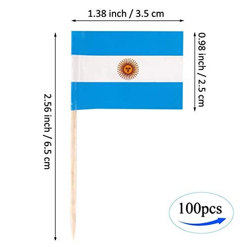 QQSD Argentina Toothpick Flag Argentine Small Mini Cupcake Topper Flags,100 pcs - Image 2
