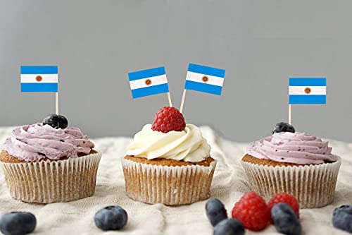 QQSD Argentina Toothpick Flag Argentine Small Mini Cupcake Topper Flags,100 pcs - Image 5