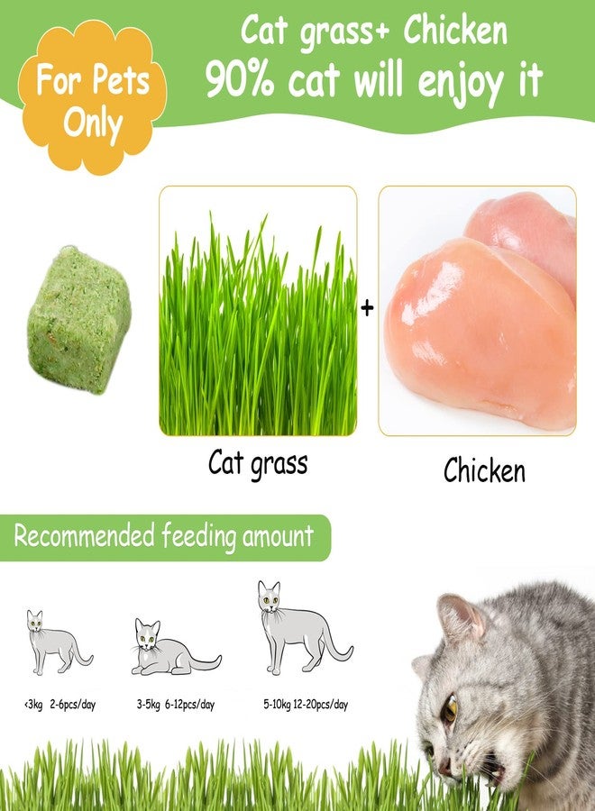 HavenJanny 120g Cat Grass Treats for Indoor Cats, Freezed Dried Cat Grass Teething Stick Snacks for Cats, Edible Feline Chew Toys for Hairball Control and Oral Health - Image 2