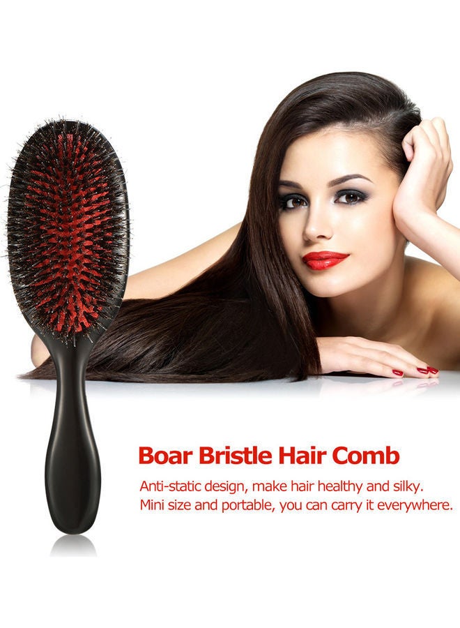 NIBEMINENT Boar Bristle Oval Brush Red/Black - Image 4
