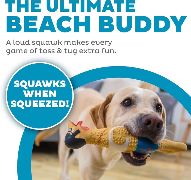 Outward Hound Squawkers Earl Latex Rubber Chicken Interactive Dog Toy, Large - Image 2