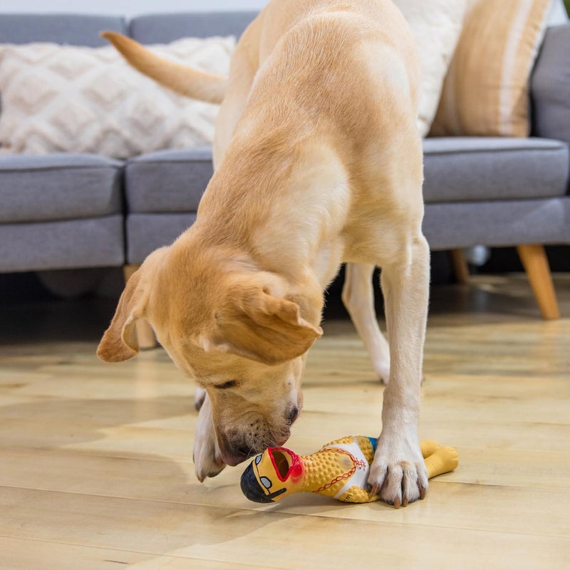 Outward Hound Squawkers Earl Latex Rubber Chicken Interactive Dog Toy, Large - Image 5