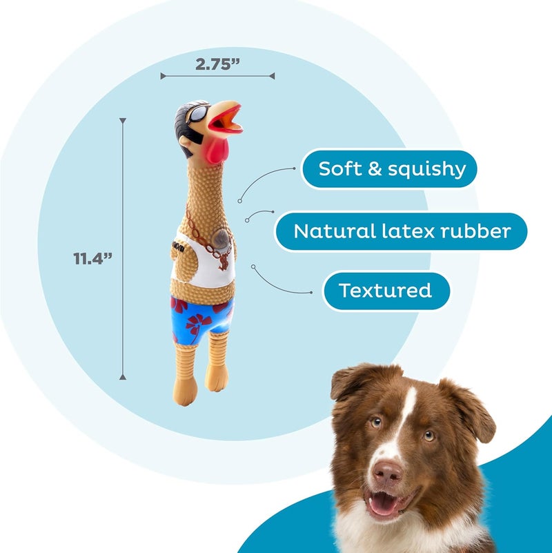 Outward Hound Squawkers Earl Latex Rubber Chicken Interactive Dog Toy, Large - Image 3