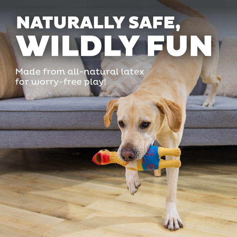 Outward Hound Squawkers Earl Latex Rubber Chicken Interactive Dog Toy, Large - Image 4