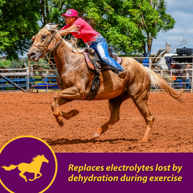 Farnam Horse Health Apple-Dex Apple Flavored Electrolytes for Horses 5 pound - Image 2