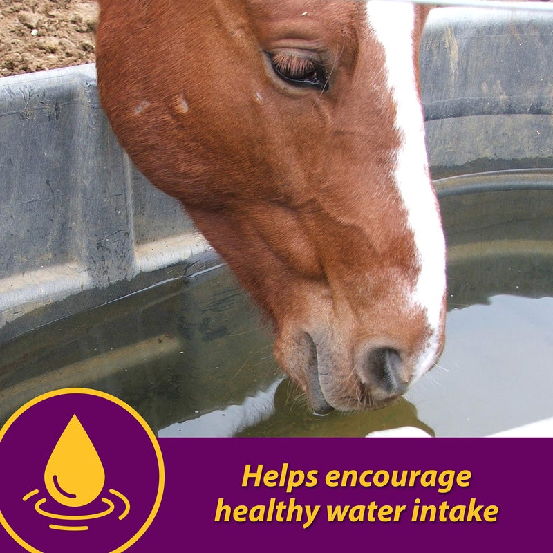 Farnam Horse Health Apple-Dex Apple Flavored Electrolytes for Horses 5 pound - Image 4