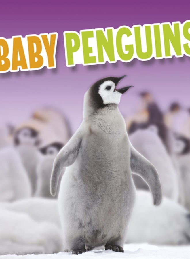 Baby Penguins 