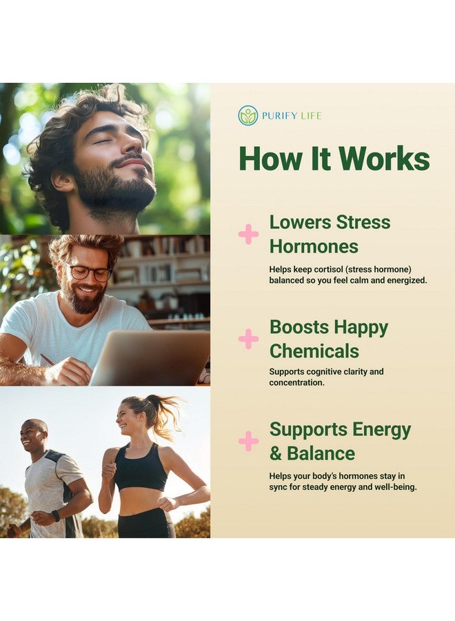 Purify Life حلوى روديولا الوردية خالية من السكر من بيوفاي لايف (1500 ملغ/حصة) مكمل دعم الكورتيزول والغدد الكظرية - روديولا التكيفية لتحسين المزاج، الدافع، القدرة على التحمل والأداء، غير معدلة وراثيًا، 60 مضغ نباتي - Image 2