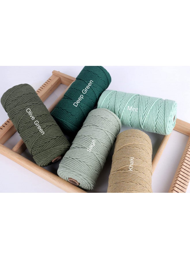 NOANTA Light Tan Macrame Cord 3mm x 109yards, Colored Macrame Rope, Cotton Rope Macrame Yarn, Colorful Cotton Craft Cord for Wall Hanging, Plant Hangers, Crafts, Knitting - Image 3