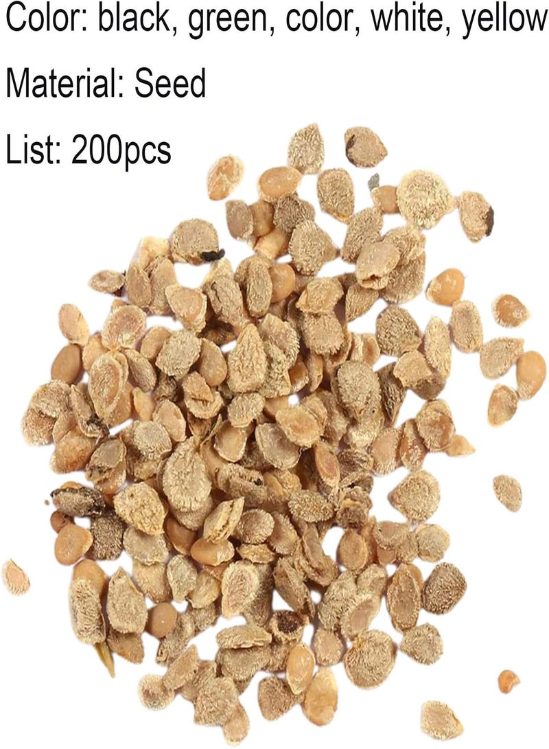 جي جوت 200 قطعة/كيس بذور الطماطم حلوة وسهلة التخزين وعالية الغلة بذور الخضروات للنباتات المنزلية بيضاء - Image 4