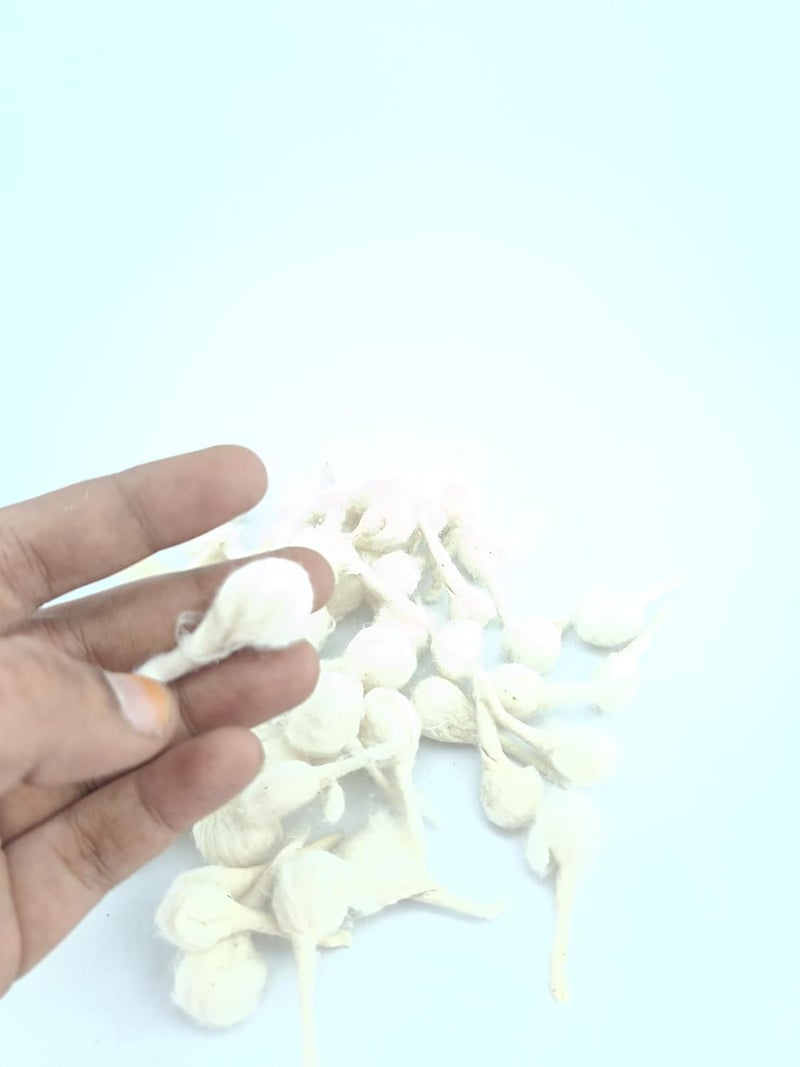 advancedestore Handmade Cotton Round WicksDiya Batti for Pooja Pack of 50 pcsx4 Boxes WhiteMoggawith Box - Image 3