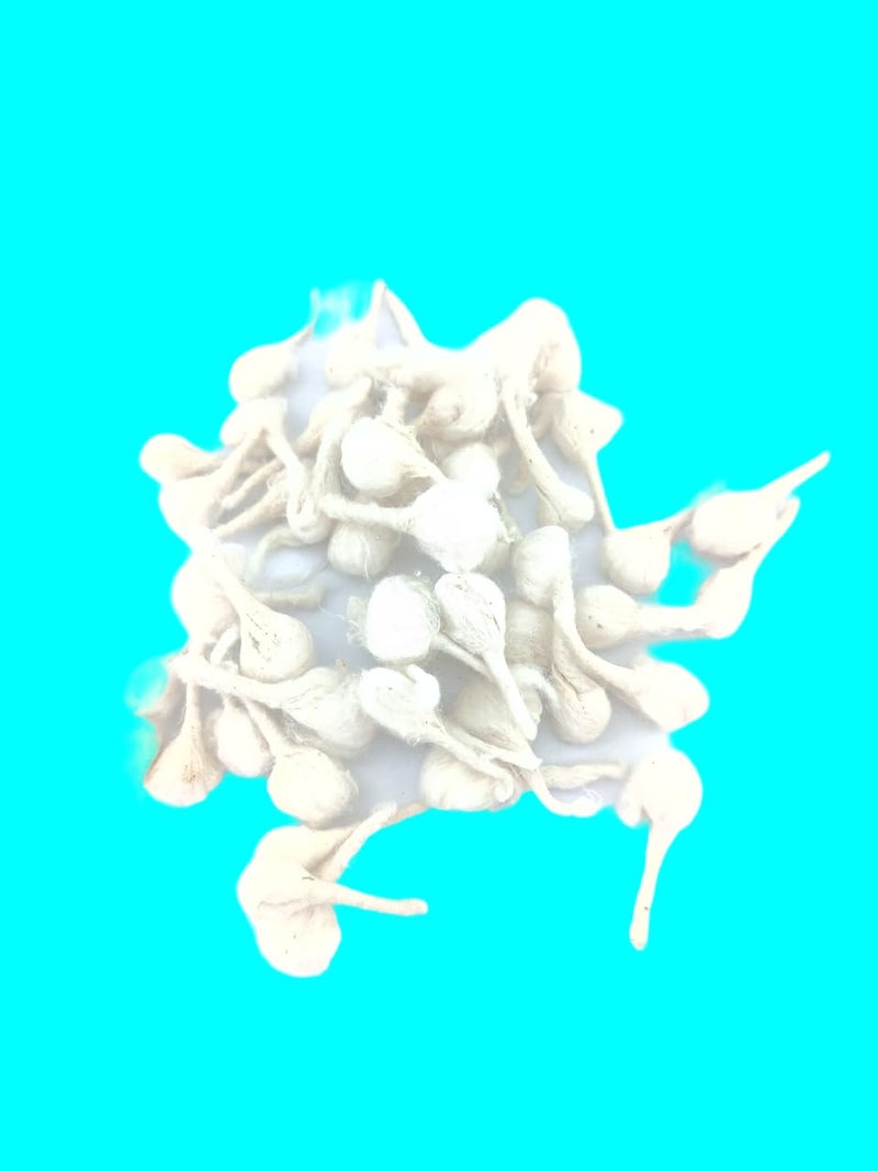 advancedestore Handmade Cotton Round WicksDiya Batti for Pooja Pack of 50 pcsx4 Boxes WhiteMoggawith Box - Image 1