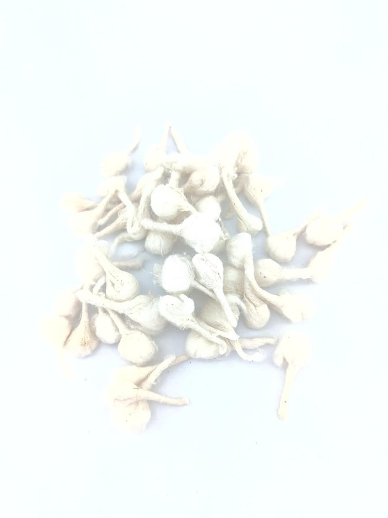 advancedestore Handmade Cotton Round WicksDiya Batti for Pooja Pack of 50 pcsx4 Boxes WhiteMoggawith Box - Image 2