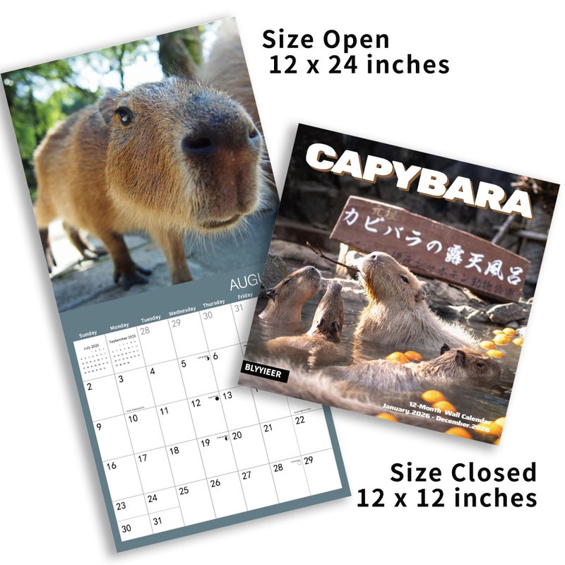 BLYYIEER 2026 Wall Calendar,Capybara Calendar 2026, Monthly Wall Calendar, 12" x 24" Open,Family Planner Calendar Organizer with funny capybara Images - Image 4