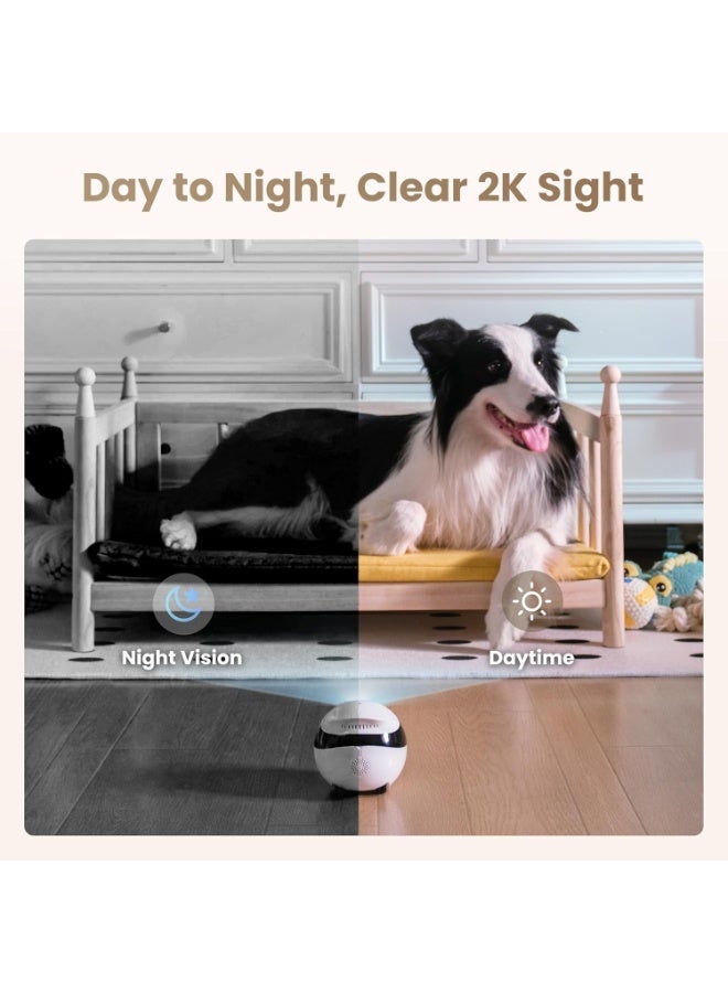 Enabot EBO Air 2 Mobile Pet Camera Robot, 2K Smart Home & Pet Monitoring Camera, Two-Way Audio, Auto Recharge, Night Vision, Wi-Fi, Companion Robot, Pink - Image 4