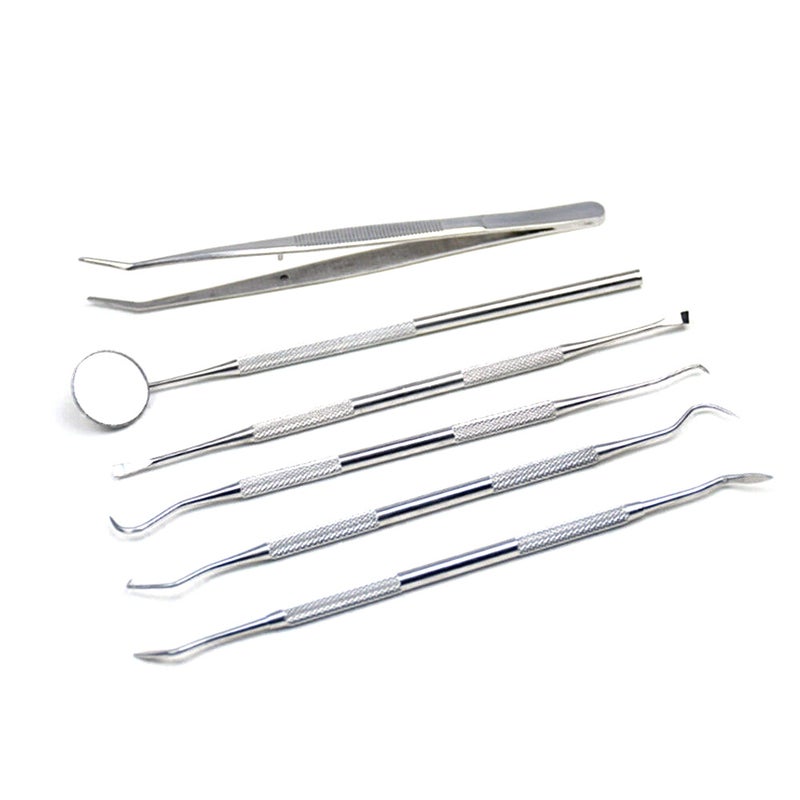 Dental Tools: 6 Silver Stainless Steel Oral Hygiene Kit - Rust-Resistant Travel-Friendly Essential Tools for Professional and Individual Oral Care - Image 1