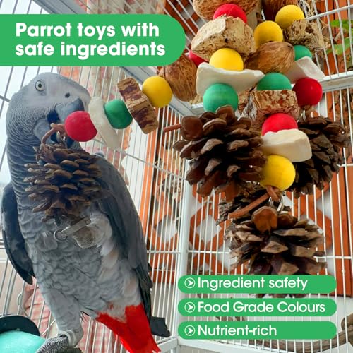 MQUPIN Parrot Toys, Nuts Nutrient-Rich Bird Toys,Natural Wooden Parrot Cage Bite Toy,Chewing Toy Containing Cuttlefish Bones,Pine Cones,Wooden Mangoes and Carambola for African Greys,Cockatoo,Budgie - Image 5