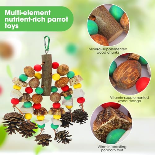 MQUPIN Parrot Toys, Nuts Nutrient-Rich Bird Toys,Natural Wooden Parrot Cage Bite Toy,Chewing Toy Containing Cuttlefish Bones,Pine Cones,Wooden Mangoes and Carambola for African Greys,Cockatoo,Budgie - Image 2
