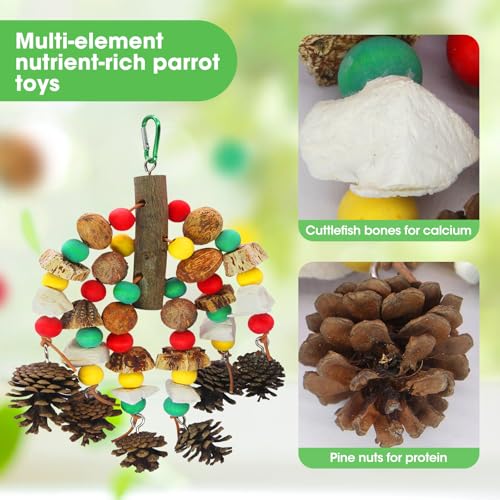 MQUPIN Parrot Toys, Nuts Nutrient-Rich Bird Toys,Natural Wooden Parrot Cage Bite Toy,Chewing Toy Containing Cuttlefish Bones,Pine Cones,Wooden Mangoes and Carambola for African Greys,Cockatoo,Budgie - Image 3