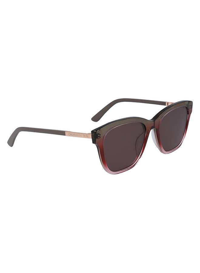 CALVIN KLEIN Women Sunglasses - Lens Size: 55 mm - Image 3