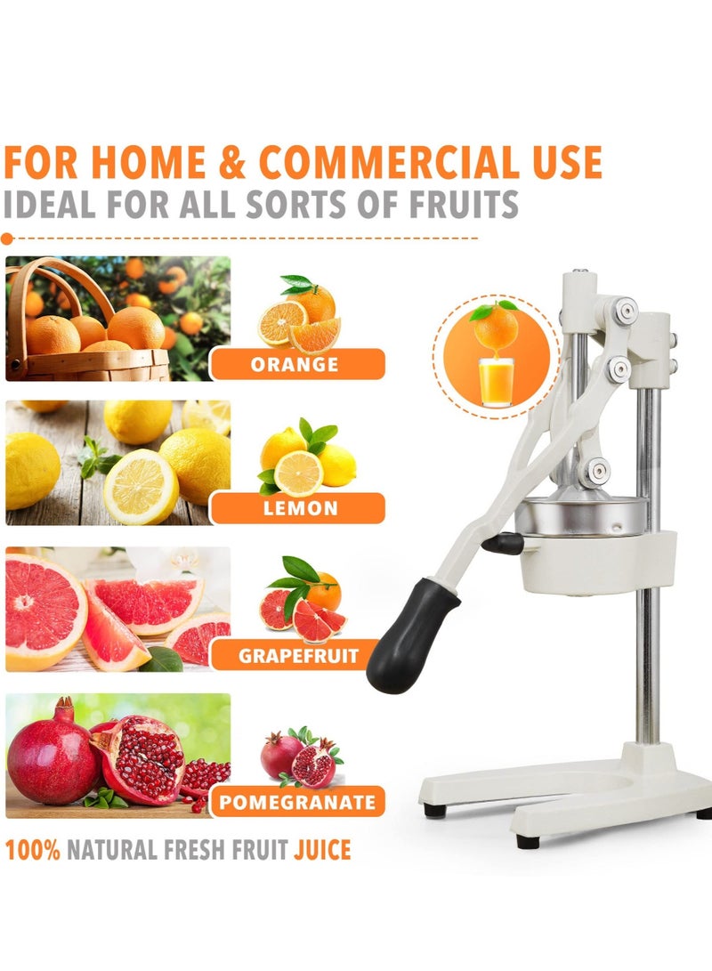WALALLA Manual Fruit Juicer, Stainless, for Orange Citrus Lemon Lime Grapefruit, Non-Slip Handle, Separates Pulp from Seeds, Easy to Use and Wash, White - Image 5