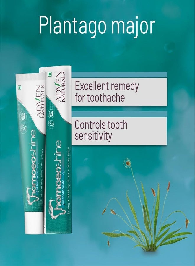 Adven Naturals Homoeoshine Toothpaste | Herbal Oral Care for Toothache, Bleeding Gums, Sensitivity, Cavities & Bad Breath | Fluoride & Paraben-Free | Calendula, Neem, Tulsi, Clove, Plantago | 3x100g - Image 5