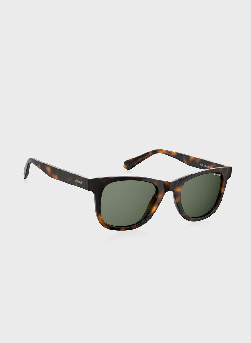 Polaroid Wayfarers Sunglasses