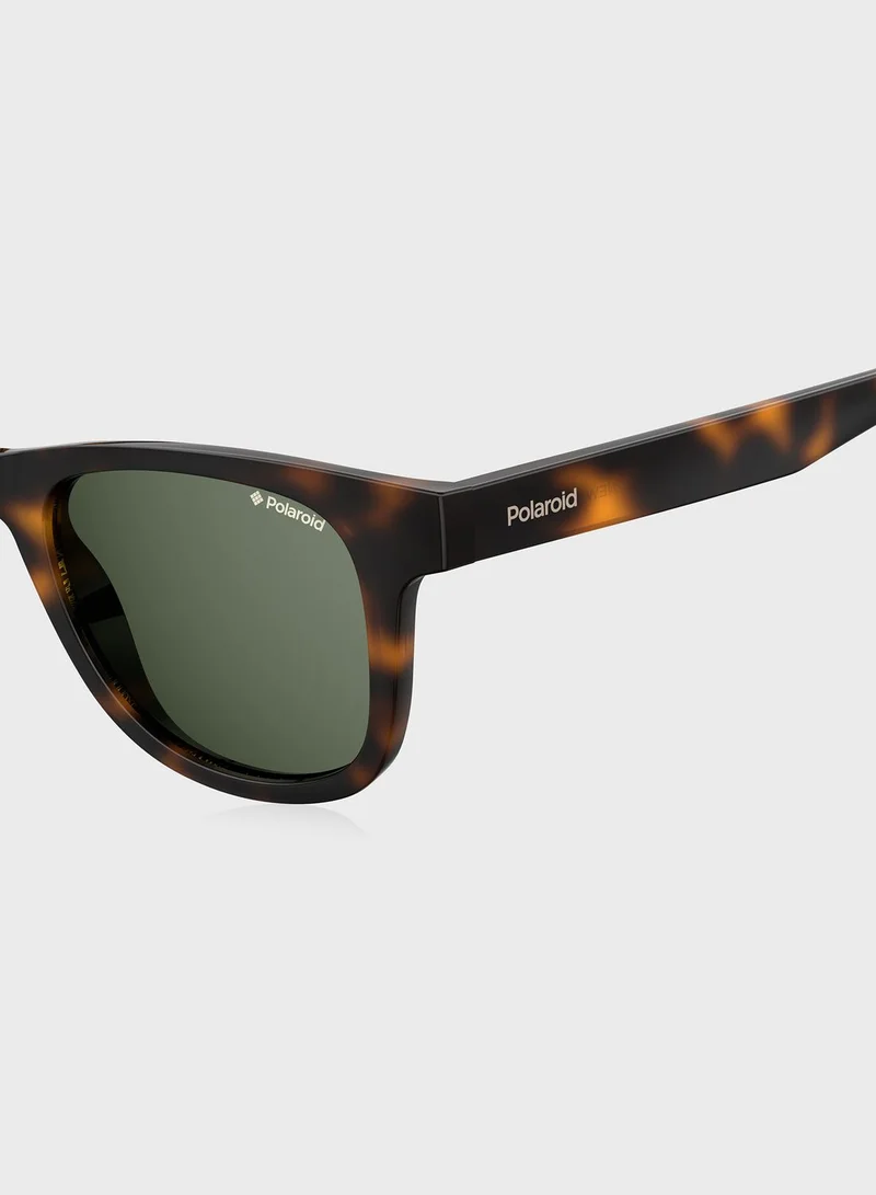 Polaroid Wayfarers Sunglasses