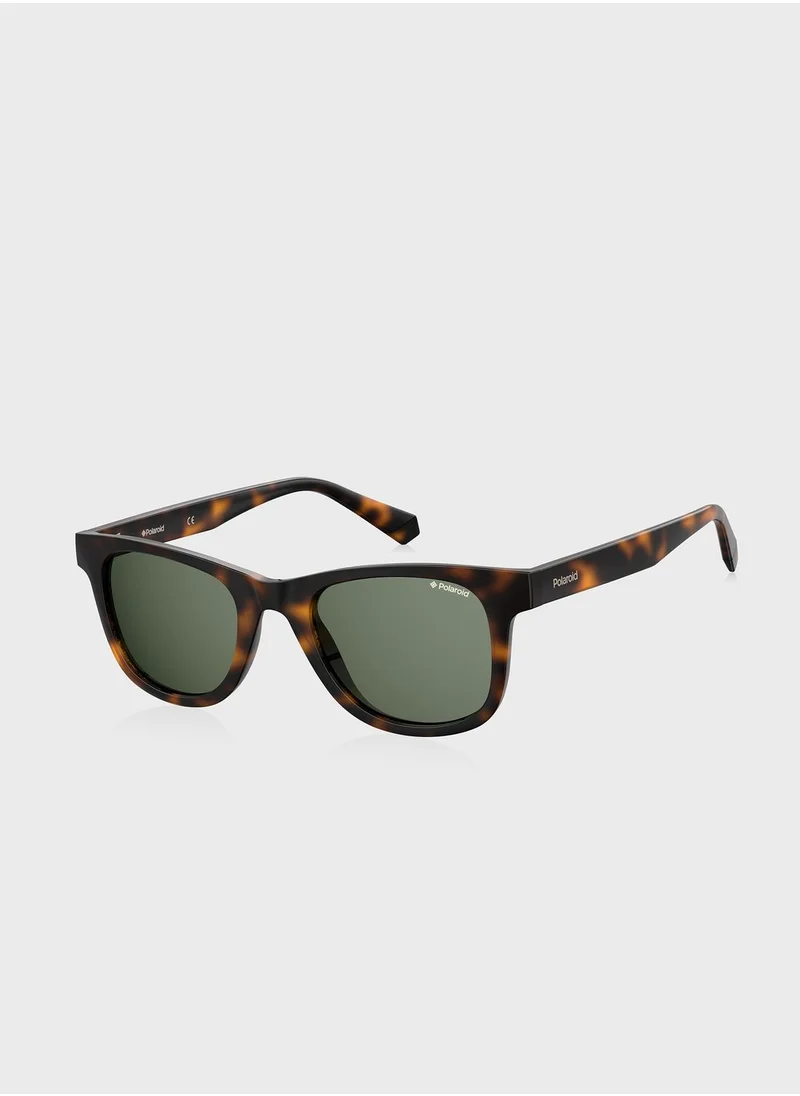 Polaroid Wayfarers Sunglasses