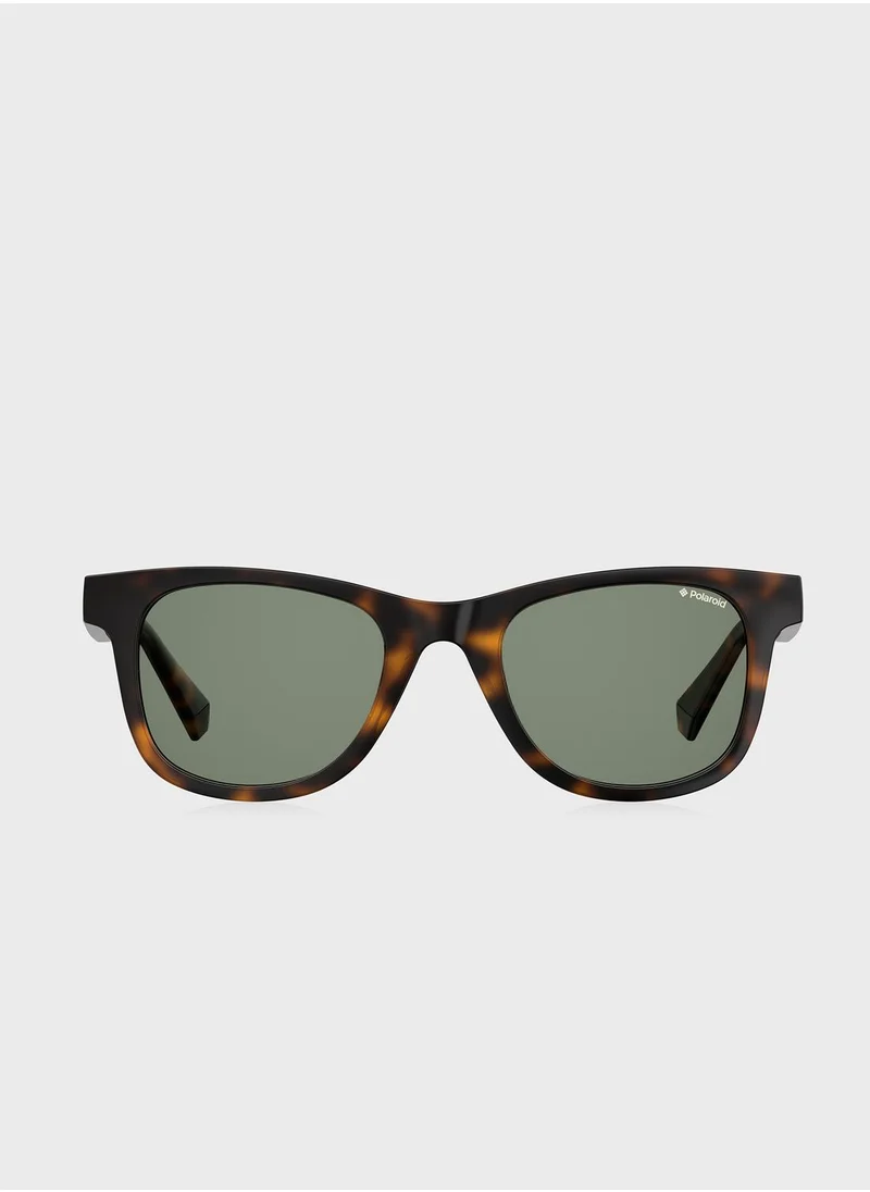 Polaroid Wayfarers Sunglasses