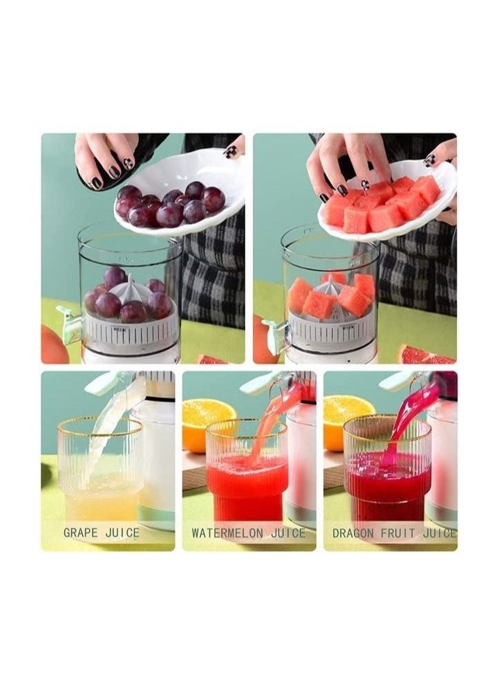 Cordless portable electric fruit juicer