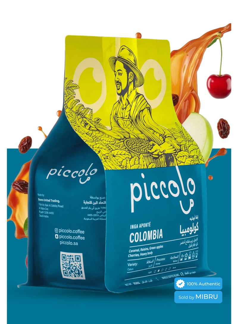 MIBRU Specialty Coffee bean Collection Box for Drip and Espresso Corps coffee v60 Set of 3 with cup - Image 3